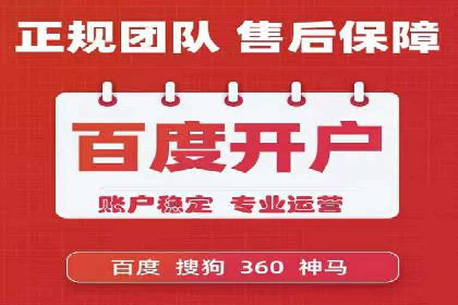 搜索引擎营销（SEM）在电商行业的投放策略案例